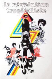 Brésil: La Révolution Tropicaliste 2001 one on netflix