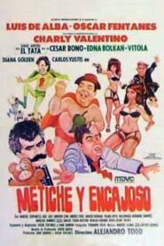 Metiche y encajoso 1989 one on netflix