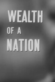 Wealth of a Nation 1964 one on netflix
