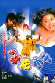 Shaolin Kung Fu Kids 1995 one on netflix