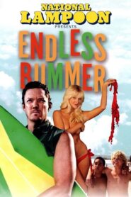 National Lampoon Presents: Endless Bummer 2009 one on netflix