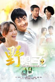 野鸭子 2013 on Online Series