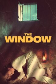 The Window 2024 one on netflix