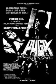 Puga 1980 one on netflix