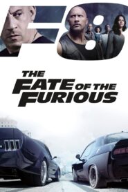 The Fate of the Furious 2017 one on netflix