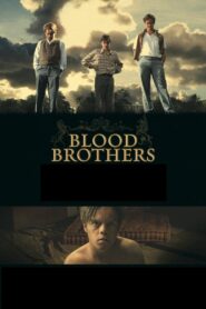 Blood Brothers 2008 one on netflix
