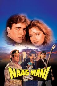 Naagmani 1991 one on netflix