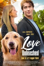Love Unleashed 2025 one on netflix
