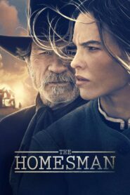 The Homesman 2014 one on netflix