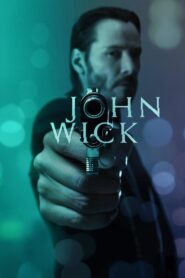 John Wick 2014 one on netflix