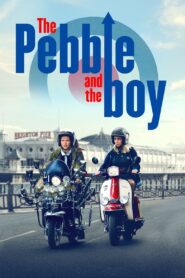 The Pebble and the Boy 2021 one on netflix