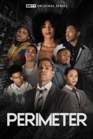 Perimeter 2024 on Online Series