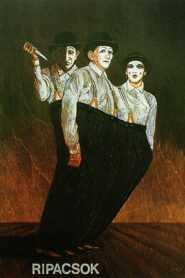 Salamon & Stock Show 1981 one on netflix