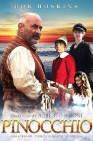 Pinocchio 2009 one on netflix