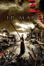 Ip Man 2008 one on netflix
