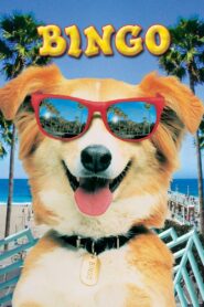 Bingo 1991 one on netflix