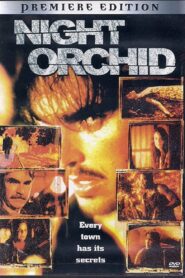Night Orchid 1997 one on netflix