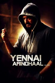 Yennai Arindhaal 2015 one on netflix