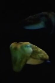 Aliens From Inner Space 1983 one on netflix