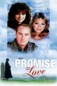 The Promise of Love 1980 one on netflix