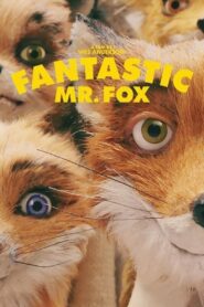 Fantastic Mr. Fox 2009 one on netflix