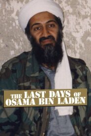 The Last Days of Osama Bin Laden 2011 one on netflix