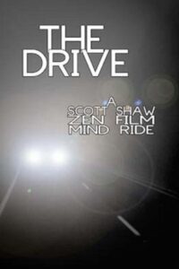 The Drive 2013 one on netflix
