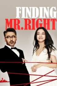 Finding Mr. Right 2013 one on netflix