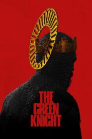 The Green Knight 2021 one on netflix