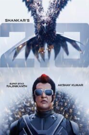 2.0 2018 one on netflix