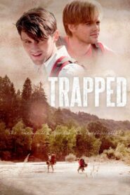 Trapped 2012 one on netflix
