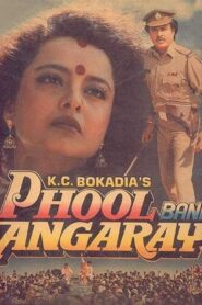 Phool Bane Angaray 1991 one on netflix