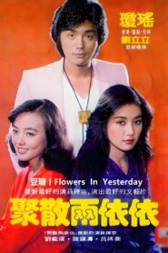 Errant Love 1981 one on netflix