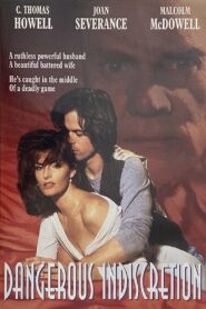 Dangerous Indiscretion 1995 one on netflix