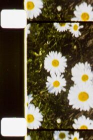 Seated Figures 1988 one on netflix