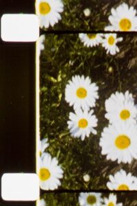 Seated Figures 1988 one on netflix