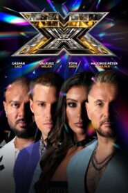 X-Faktor: Temporada 13 {year} one on netflix
