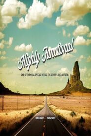 Highly Functional 2017 one on netflix
