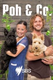 Poh & Co. 2015 on Online Series