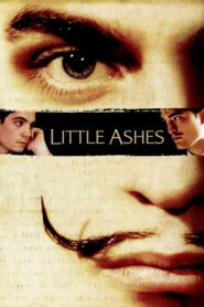 Little Ashes 2008 one on netflix