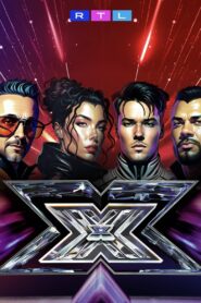 X-Faktor: Temporada 12 {year} one on netflix