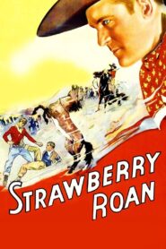 Strawberry Roan 1933 one on netflix