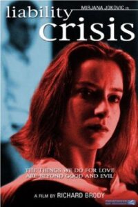 Liability Crisis 1995 one on netflix