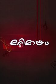 Marimayam 2011 on Online Series
