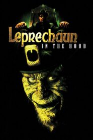 Leprechaun in the Hood 2000 one on netflix