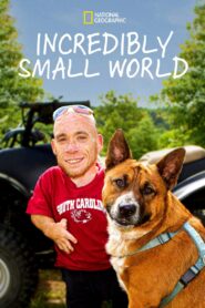 Incredibly Small World 2014 on Online Series