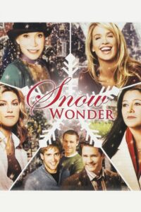 Snow Wonder 2005 one on netflix