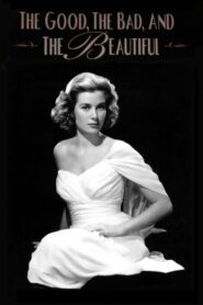 The Good, The Bad, and the Beautiful 1996 one on netflix