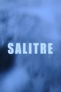 Salitre 2005 one on netflix