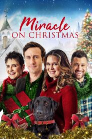 Miracle on Christmas 2020 one on netflix